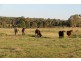 Kingaroy QLD 4610