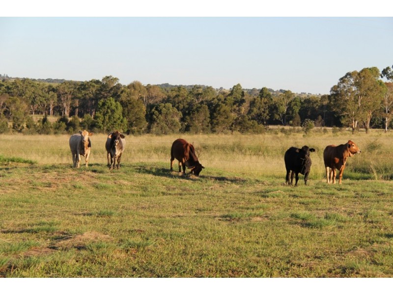 Kingaroy QLD 4610