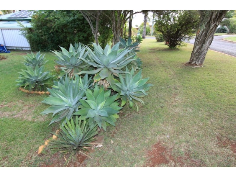 17 Jubilee Street, Kingaroy QLD 4610