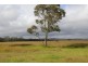 Kingaroy QLD 4610