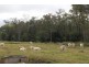Kingaroy QLD 4610