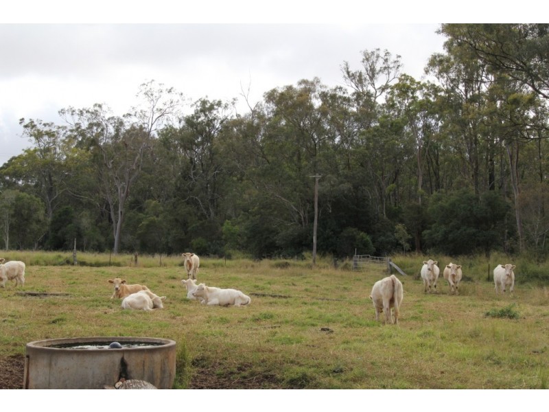 Kingaroy QLD 4610