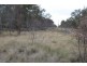 Dangore QLD 4610