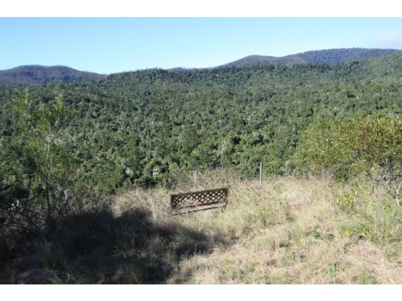 Lot 14 Red Cedar Drive, Wengenville QLD 4615