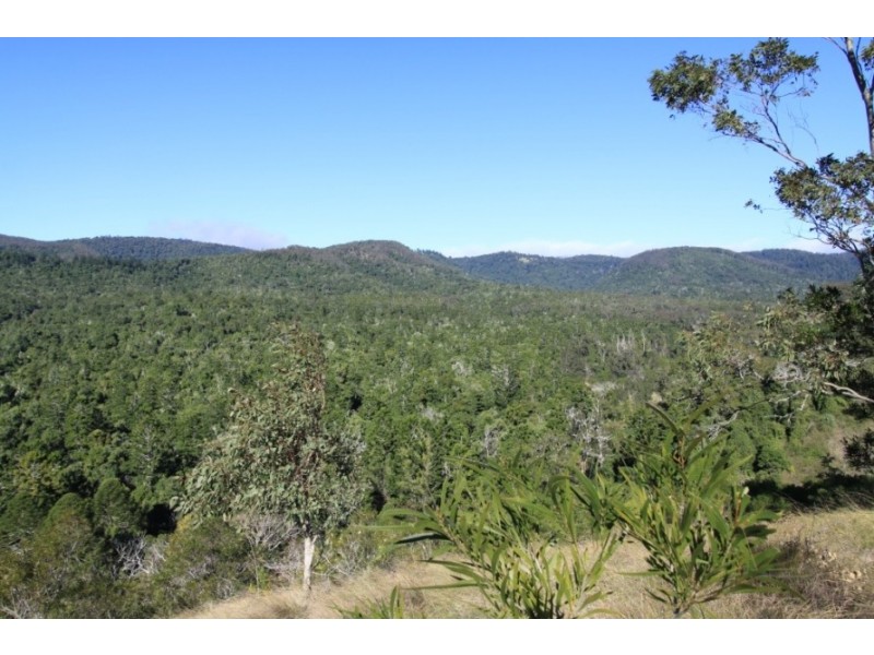 Lot 14 Red Cedar Drive, Wengenville QLD 4615