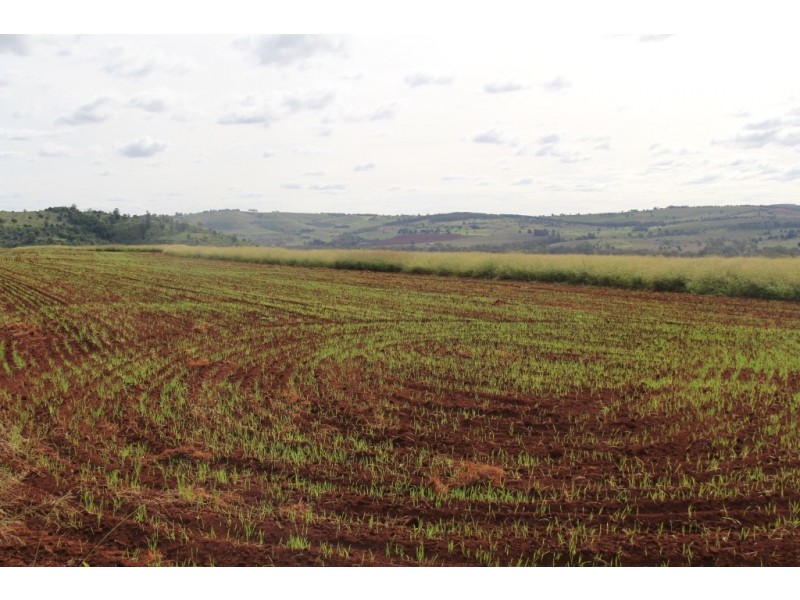 Kingaroy QLD 4610