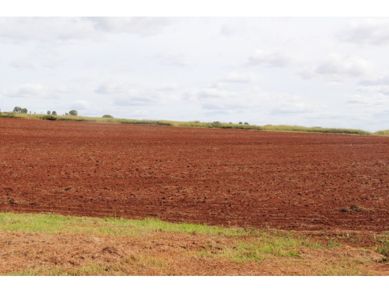 Kingaroy QLD 4610