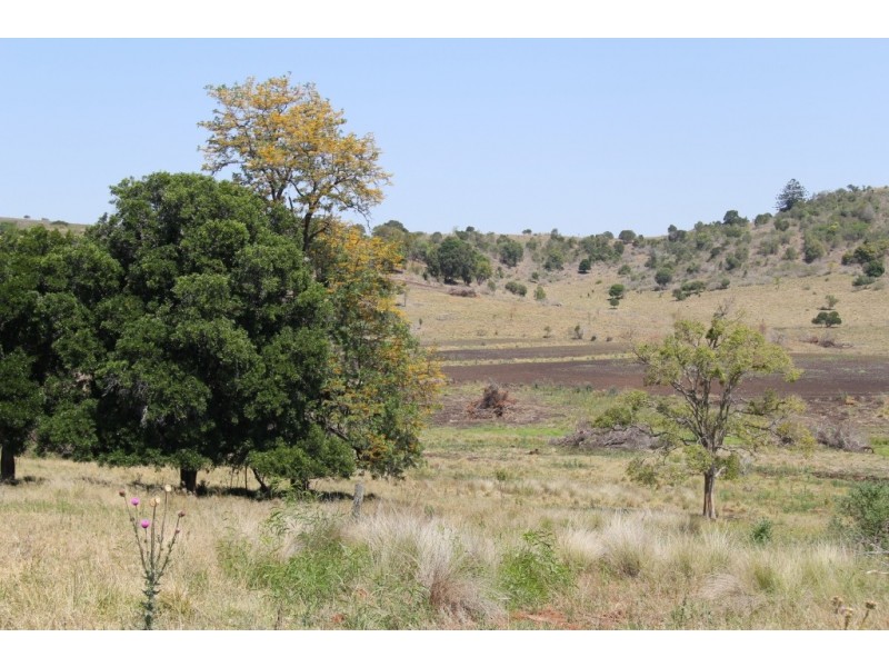 Kingaroy QLD 4610