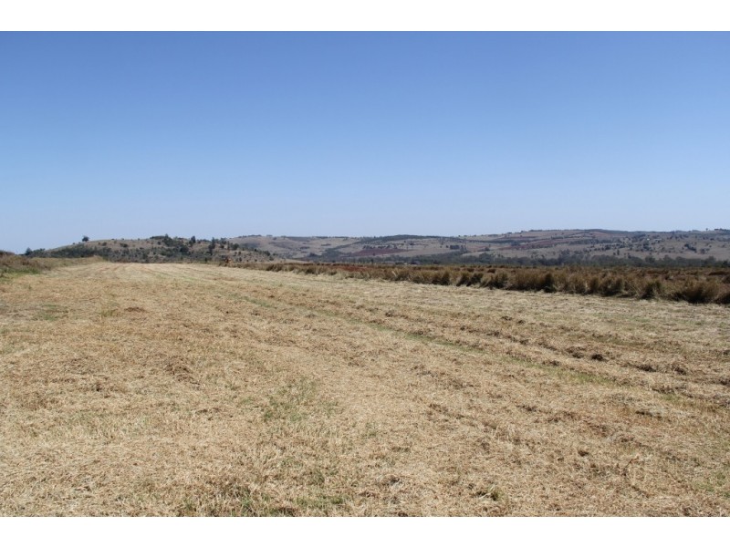 Kingaroy QLD 4610