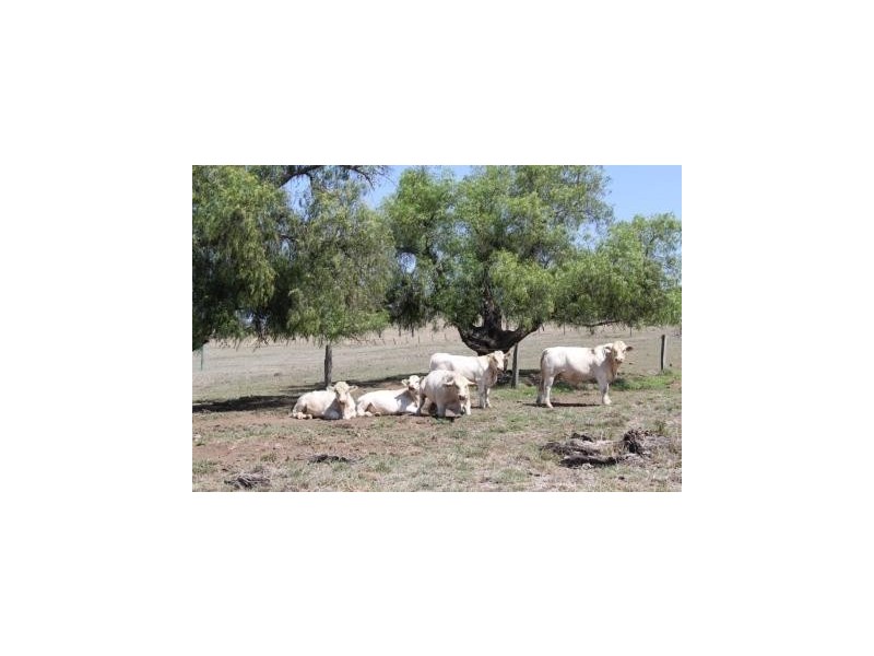 311 old Boonarra RD, Cinnabar QLD 4600