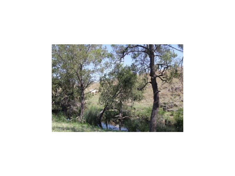 311 old Boonarra RD, Cinnabar QLD 4600