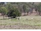 311 old Boonarra RD, Cinnabar QLD 4600