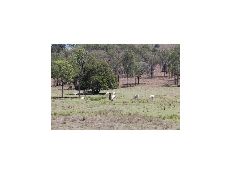 311 old Boonarra RD, Cinnabar QLD 4600