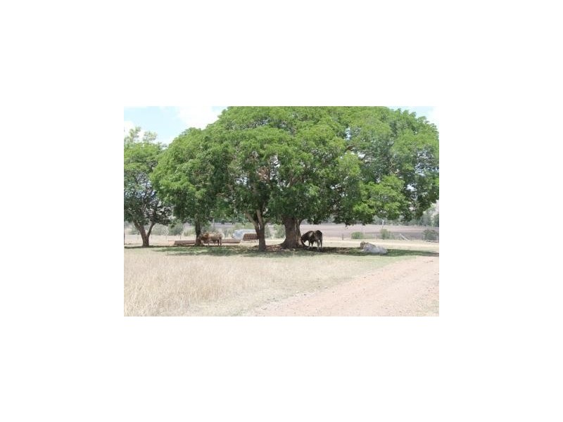 311 a Old boonarra rd, Cinnabar QLD 4600