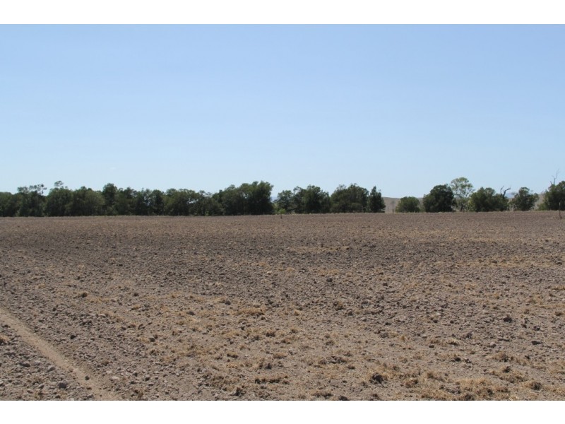 311 d Old boonara, Cinnabar QLD 4600