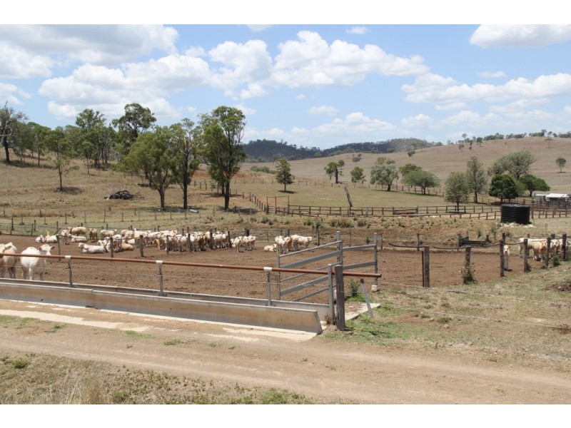 311 d Old boonara, Cinnabar QLD 4600