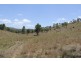 Cinnabar QLD 4600