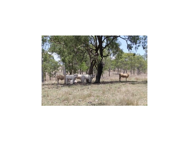 Cinnabar QLD 4600