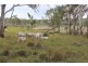 Maidenwell QLD 4615