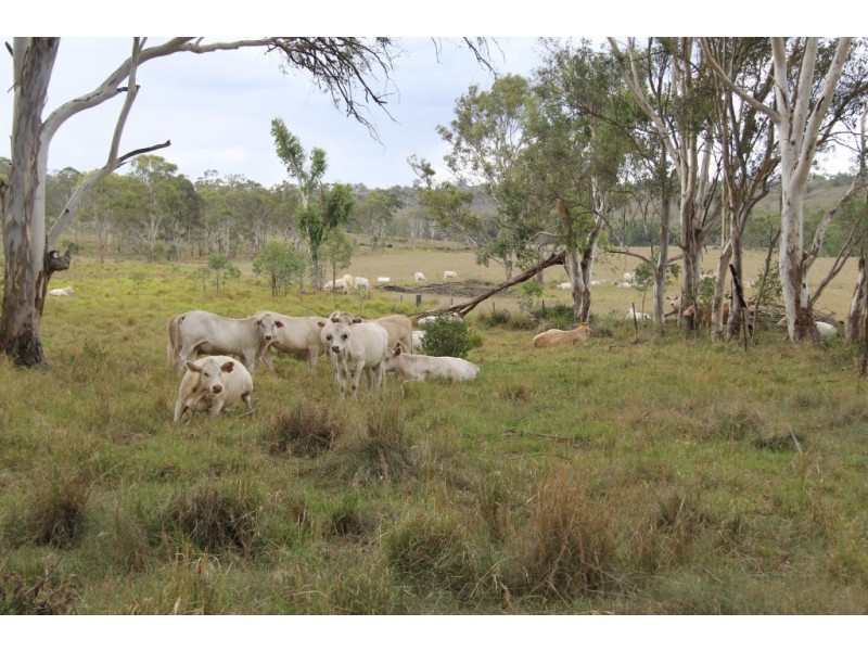 Maidenwell QLD 4615