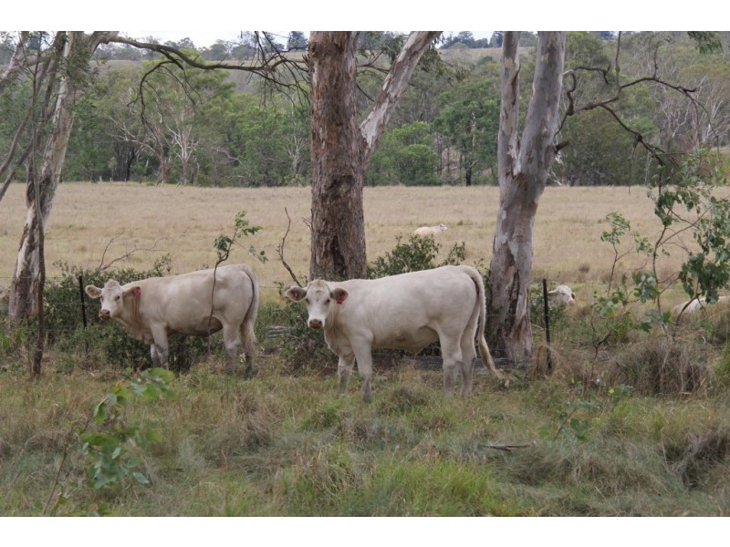 Maidenwell QLD 4615