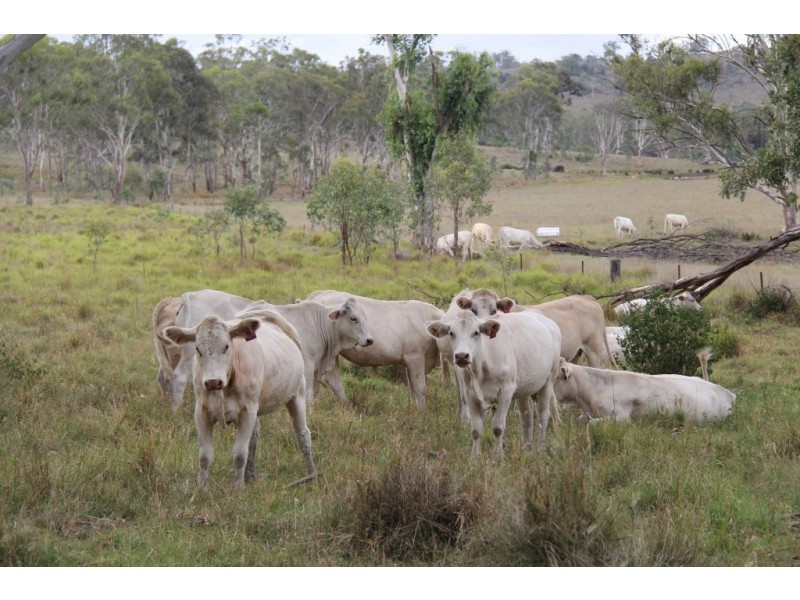 Maidenwell QLD 4615