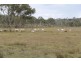 Maidenwell QLD 4615