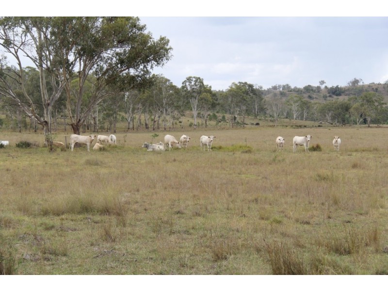 Maidenwell QLD 4615