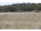 Maidenwell QLD 4615