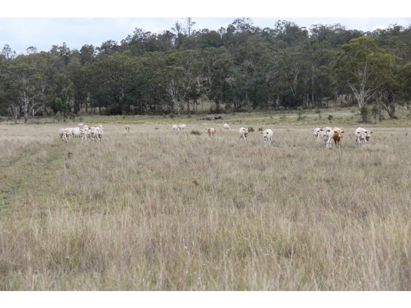 Maidenwell QLD 4615