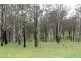 Dangore QLD 4610