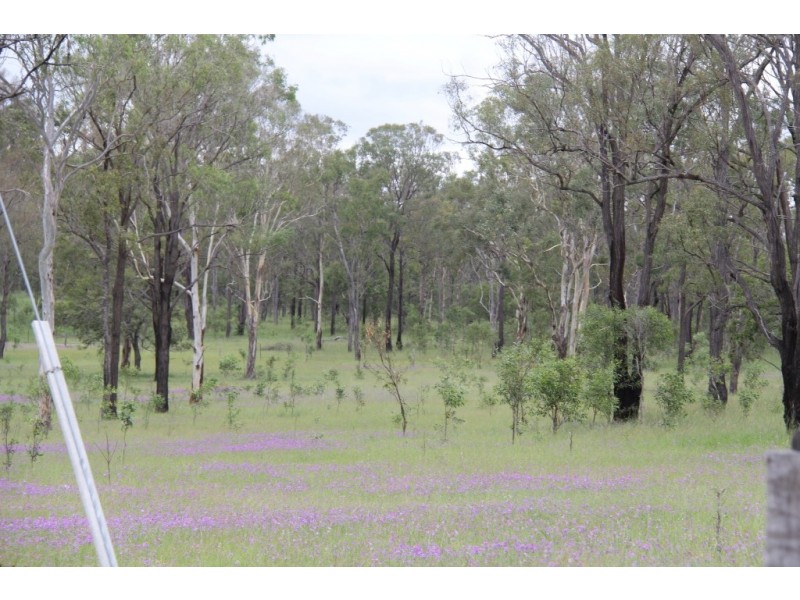 Dangore QLD 4610