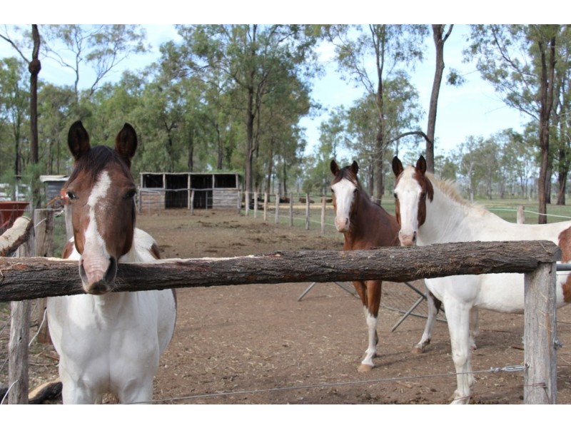 Murgon QLD 4605