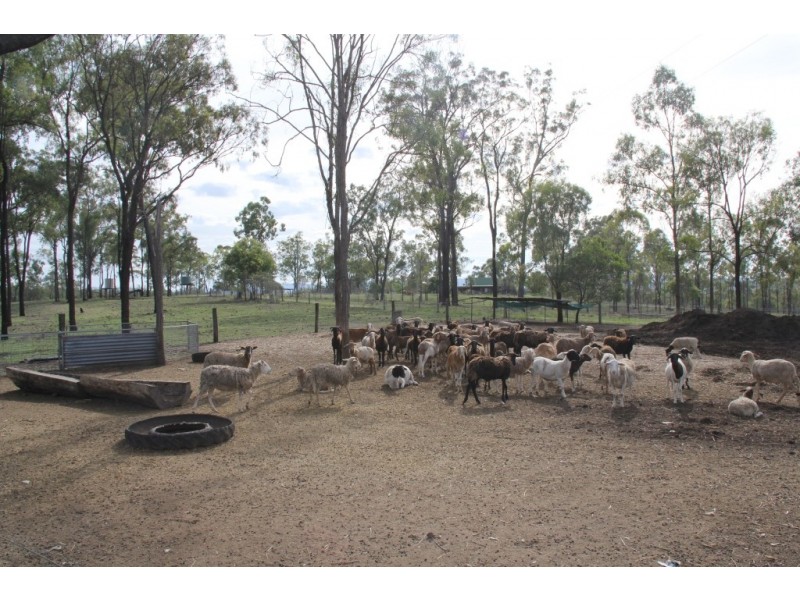 Murgon QLD 4605