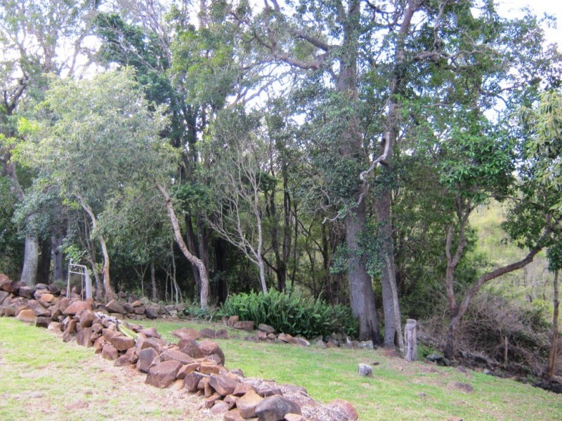 Ellesmere QLD 4610