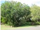 Ellesmere QLD 4610