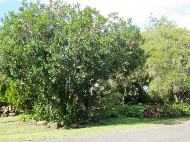 Ellesmere QLD 4610