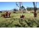 Haly Creek QLD 4610