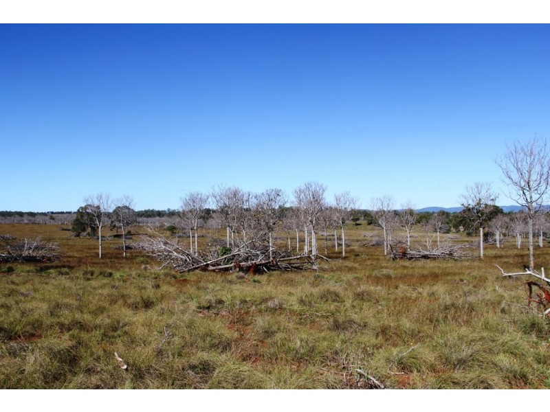 Haly Creek QLD 4610