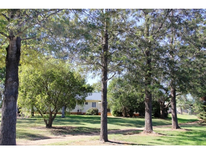 Haly Creek QLD 4610