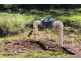 Haly Creek QLD 4610