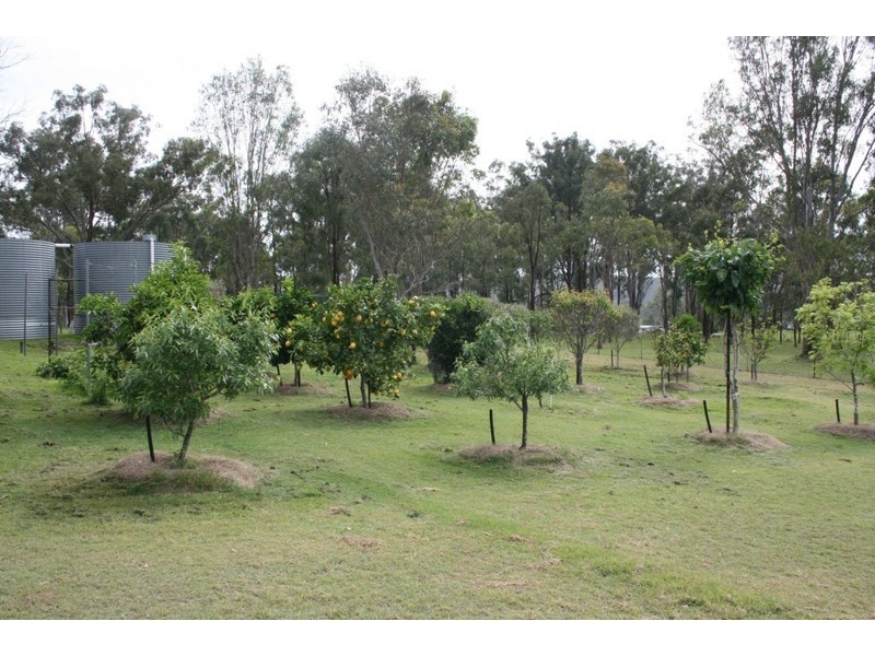 Wattle Camp QLD 4615