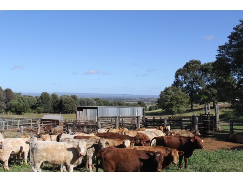 Merlwood QLD 4605