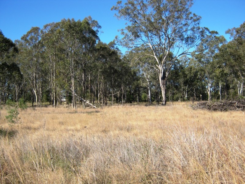 24 Oil Seeds, Memerambi QLD 4610