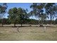 Kingaroy QLD 4610