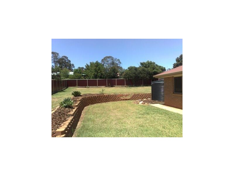 3 Leopard, Kingaroy QLD 4610