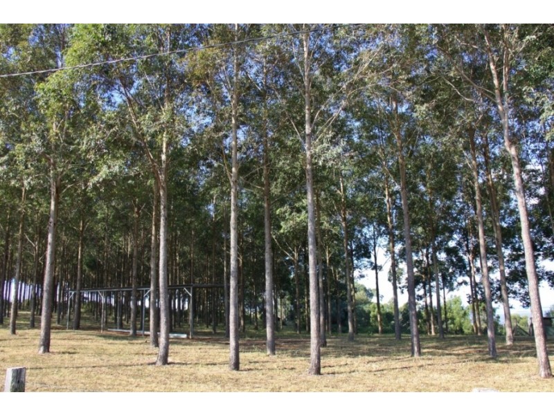 240 Birt Road, Kingaroy QLD 4610