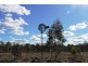 Wattle Camp QLD 4615