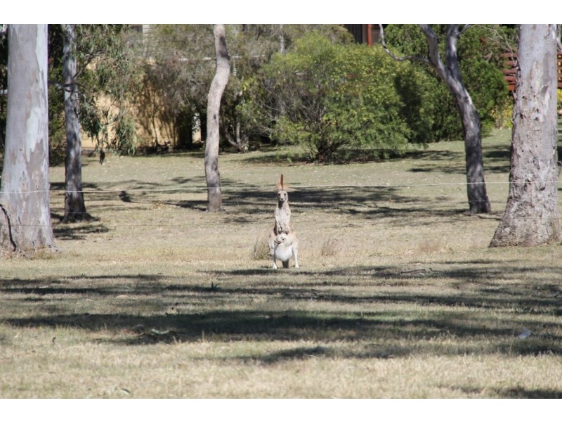 Nanango QLD 4615