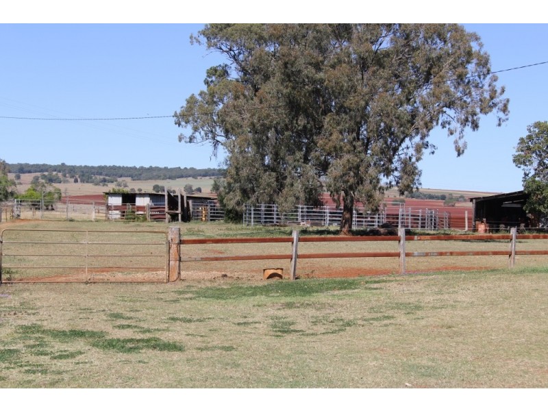 Corndale QLD 4610